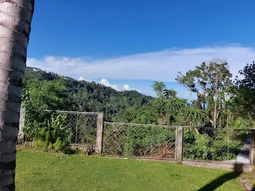 Open photo 16 of 16 — Grand View House and Lot in Valencia/Dumaguete