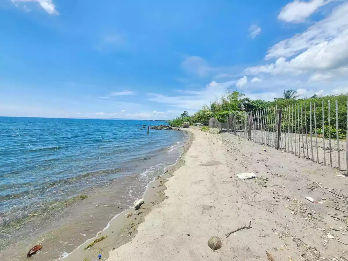 Dream Beach Lot for Sale! — Beach Lot in Western Nautical Highway, San Jose, Negros Oriental — Photo 7