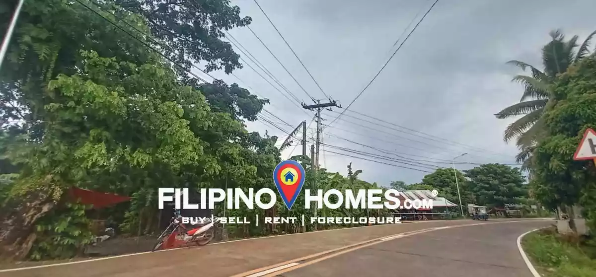 Residential lot — Residential Lot in Minalabac, Camarines Sur, Philippines — Photo 2