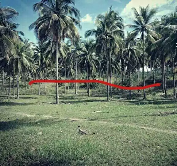 AGRICULTURAL LAND FOR SALE