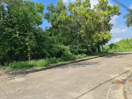 Lot for Sale in Alta Vista Subdivision — Residential Lot in Cebu City, Cebu, Philippines — Photo 3