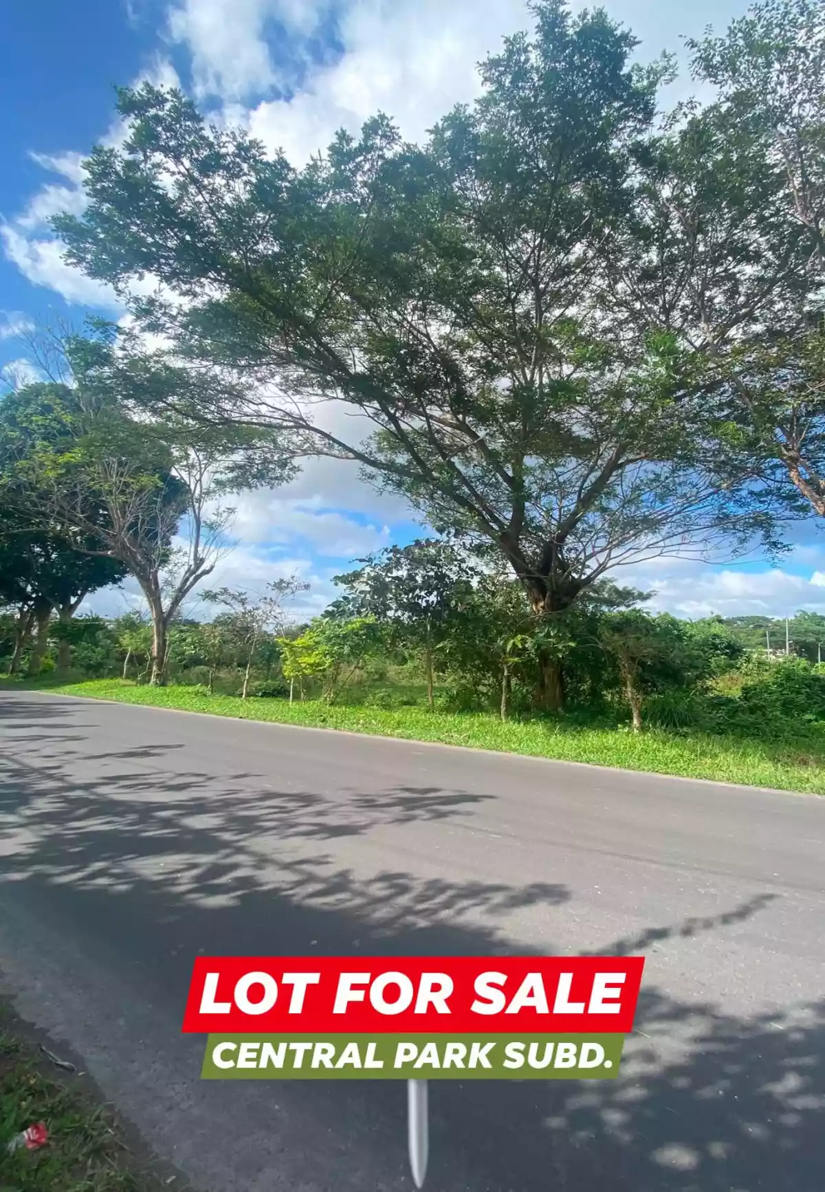 Lot for Sale at Central Park Subdivision — Residential Lot in Pili, Camarines Sur, Philippines — Photo 2
