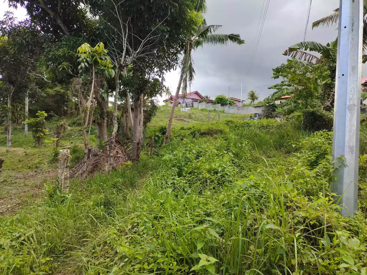 For Sale Titled Lots in Bolinawan, Carcar City