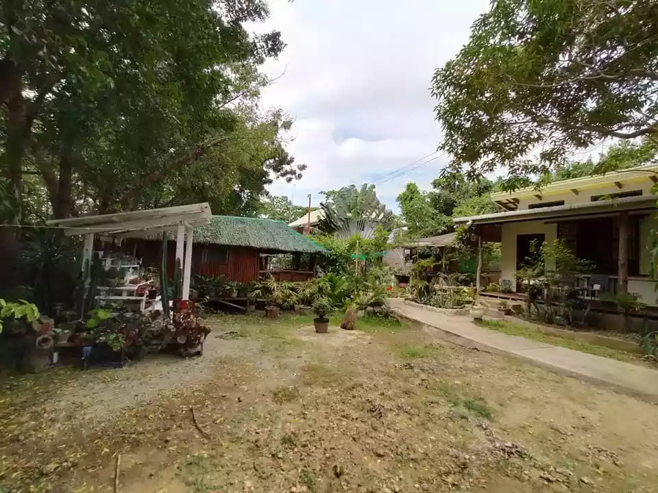 1,126sqm beachfront resort with 4 Buildings in Pangangan Island Calape Bohol  - photo 4