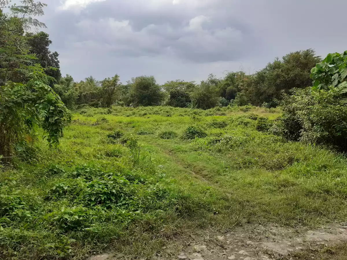 Residential Lot Brgy. Natumolan Tagoloan 1,000sqm - photo 2