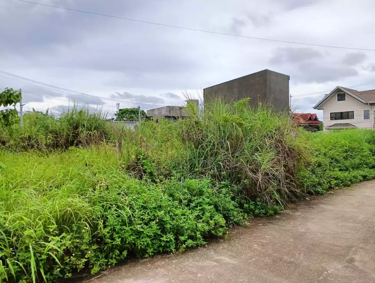 LOT FOR SALE IN LILOAN, CEBU - photo 7