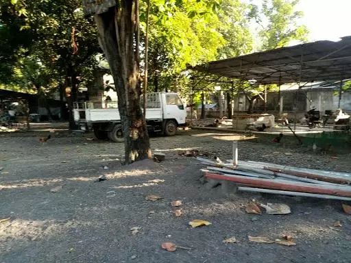 Minglanilla Lot For Sale — Commercial Lot in Minglanilla, Cebu, Philippines — Photo 5