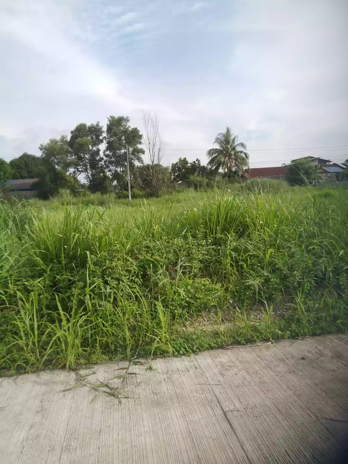 150-sqm LOT in Luisville Subdivision  Fortune Towne, Bacolod City  - photo 6