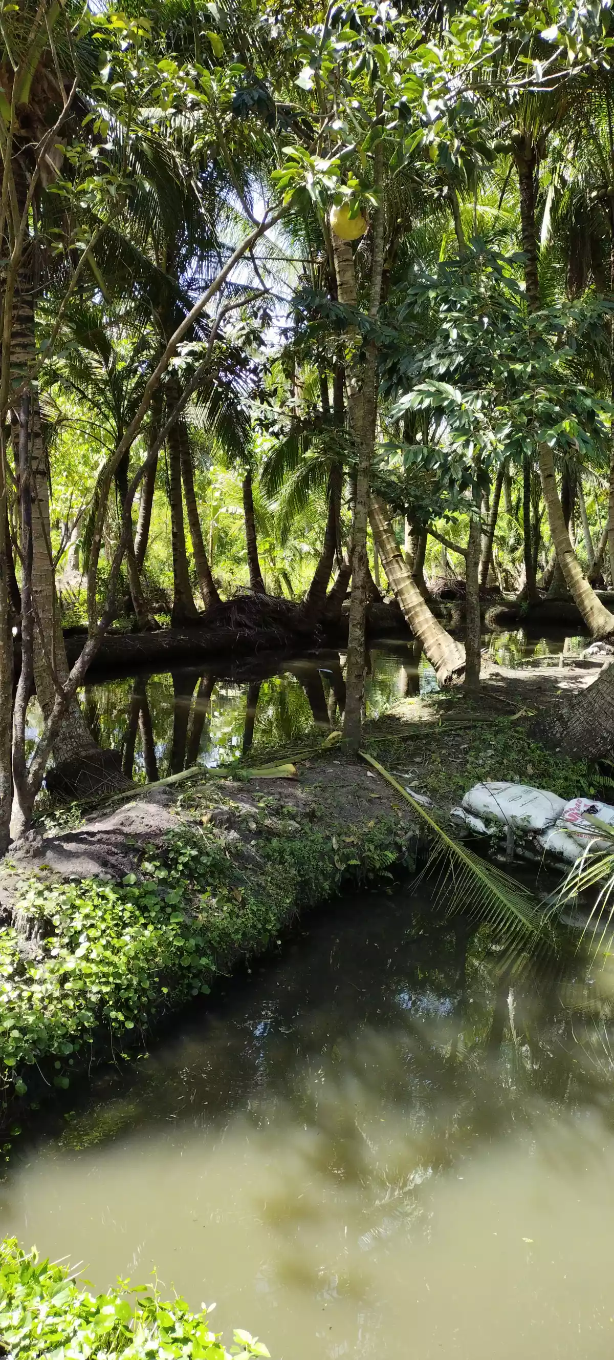 All in deal at tokawal - photo 5