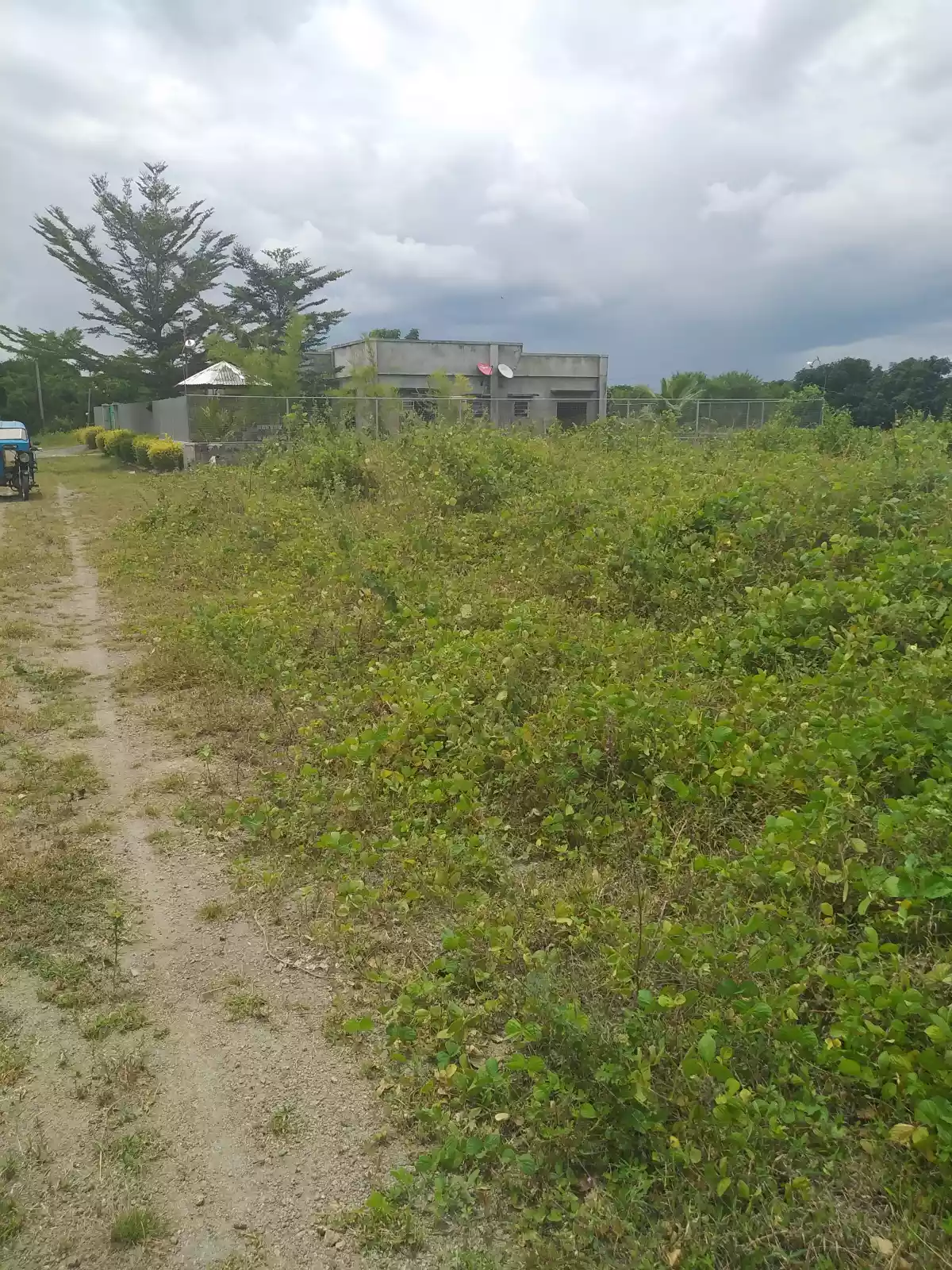 Lots for sale( 185 sq meters each) 
