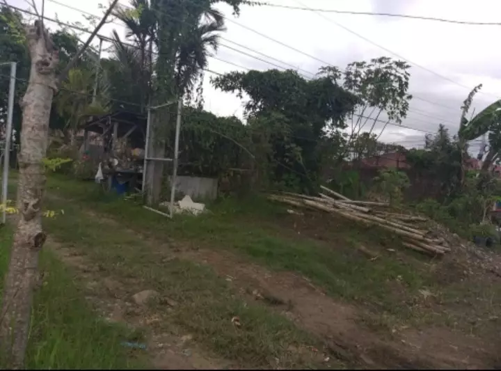 LOT FOR SALE - photo 4
