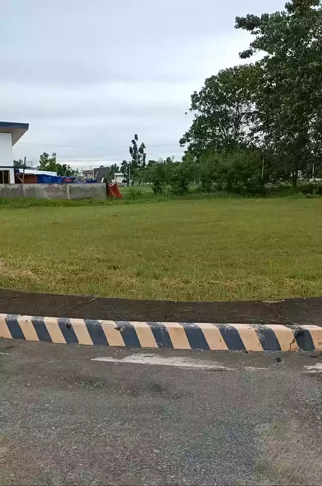 CORNER LOT IN LAS PALMAS VERDES DAVAO CITY FOR SALE — Residential Lot in Buhangin, Davao City, Davao del Sur — Photo 6