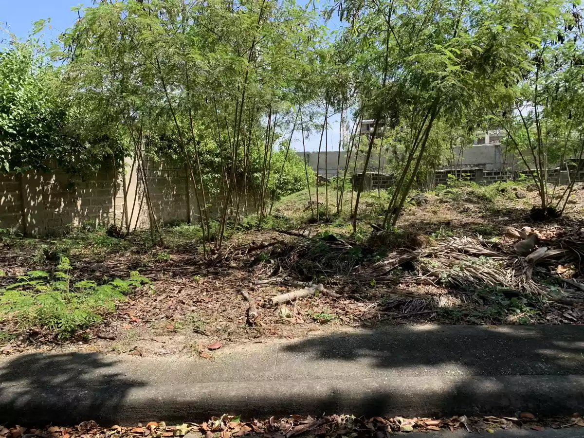 Villas Magallanes lot for sale in Lapu-Lapu City — Residential Lot in Ibabao - Gisi - Agus Road, Lapu-Lapu City, Cebu — Photo 7