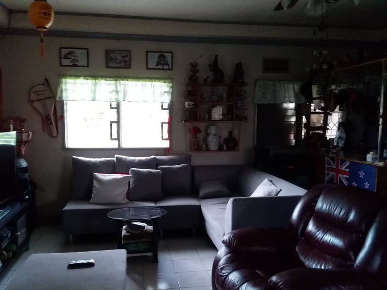 FOR SALE: House & Lot in Alpha Homes Matina, Davao City - photo 2