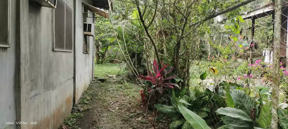 FOR SALE! Residential house — House and Lot in Cannery Site, Polomolok, South Cotabato — Photo 5