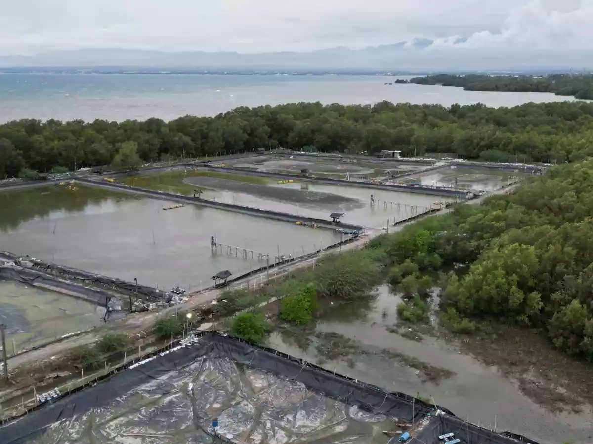SHRIMP FARM FOR SALE — Agricultural Lot in General Santos City, South Cotabato, Philippines — Photo 7