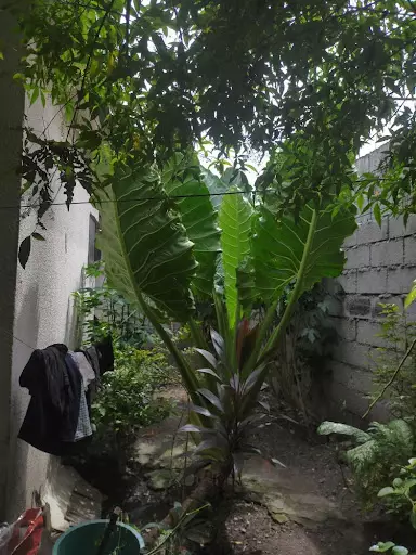 HOUSE AND LOT FOR SALE
CLEAN TITLE
120SQM
MALESIDO PHASE 3
MAINROAD ROAD.
2 ROOMS
1 TOILET.
MAY SPACE FOR SA GAWAS FOR TINDAHAN.
FH CODE TO BE FOLLOW
#FILIPINO HOMES
#realtor
#LeuterioRealtyAndBrokerage — House and Lot in General Santos City, 9500 South Cotabato, Philippines — Photo 6