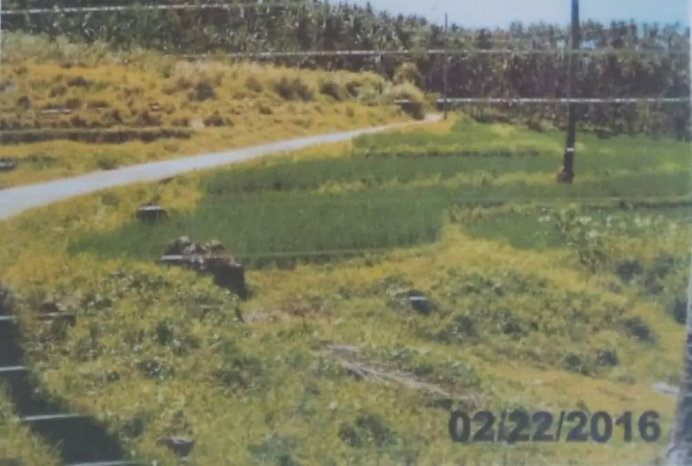 FARM LOT FOR SALE IN NAVAL, BILIRAN - photo 7