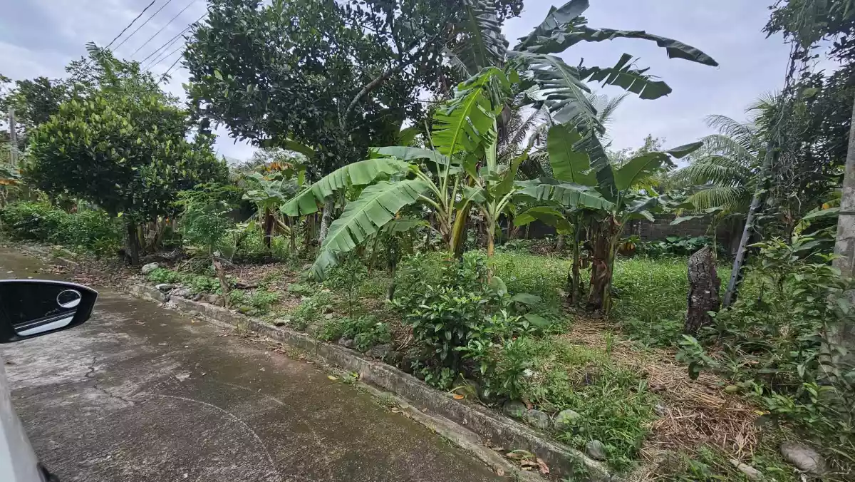 RARE FIND RESIDENTIAL LOT IN CARMELA EXECUTIVE TALISAY CITY  - photo 5