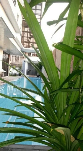 Prestigious House and Lot at St. James Homes Subd., Concepcion Grande, Naga City — House and Lot in M4 Boulevard, Naga, Camarines Sur — Photo 6