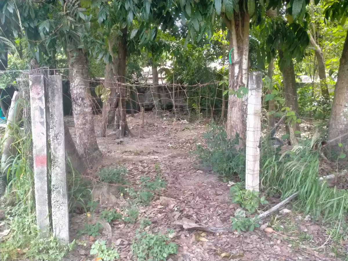 LOT FOR SALE IN BAGACAY DUMAGUETE CITY - photo 3