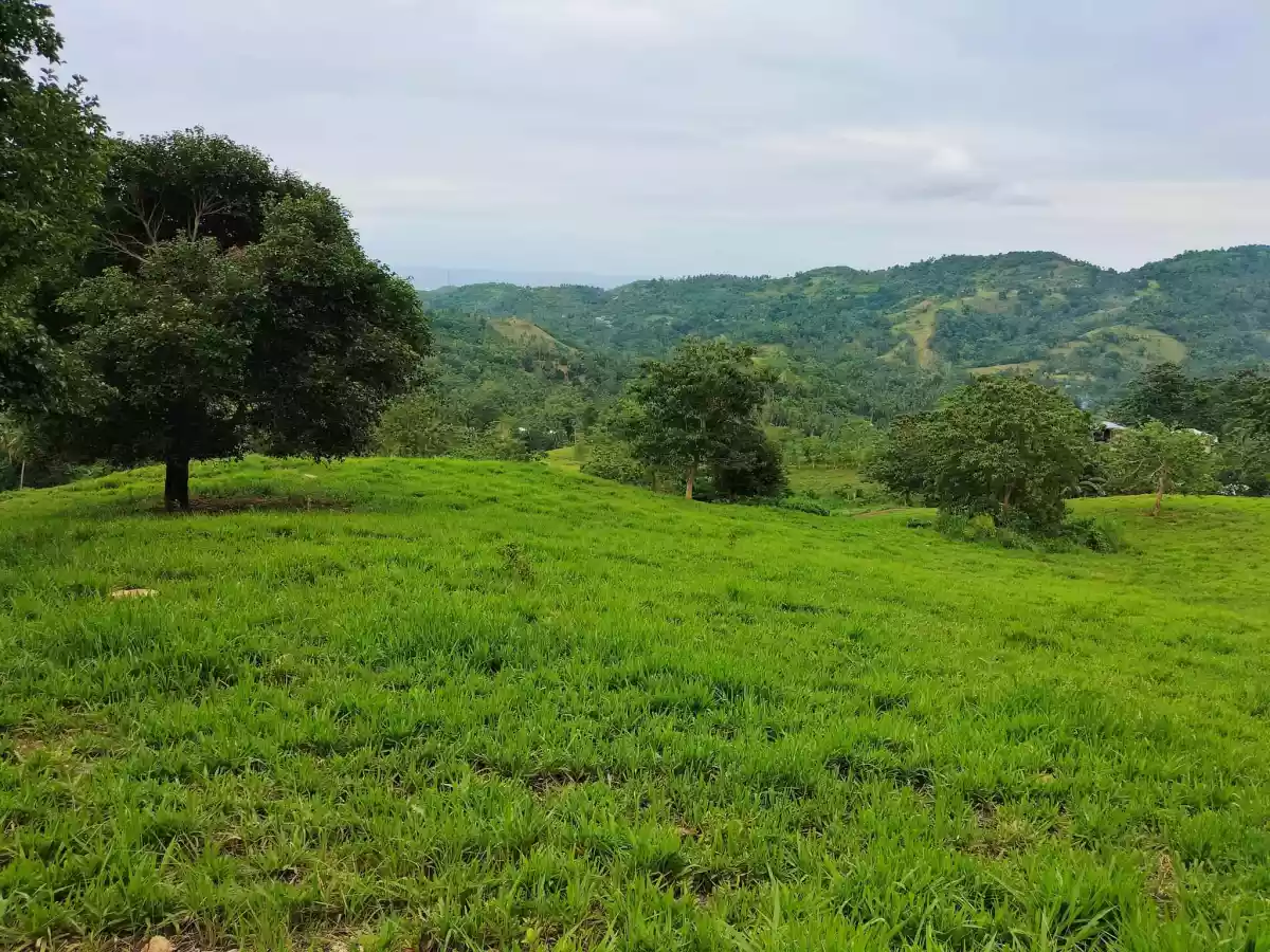 Affordable lot — Agricultural Lot in Carmen, Cebu, Philippines — Photo 6