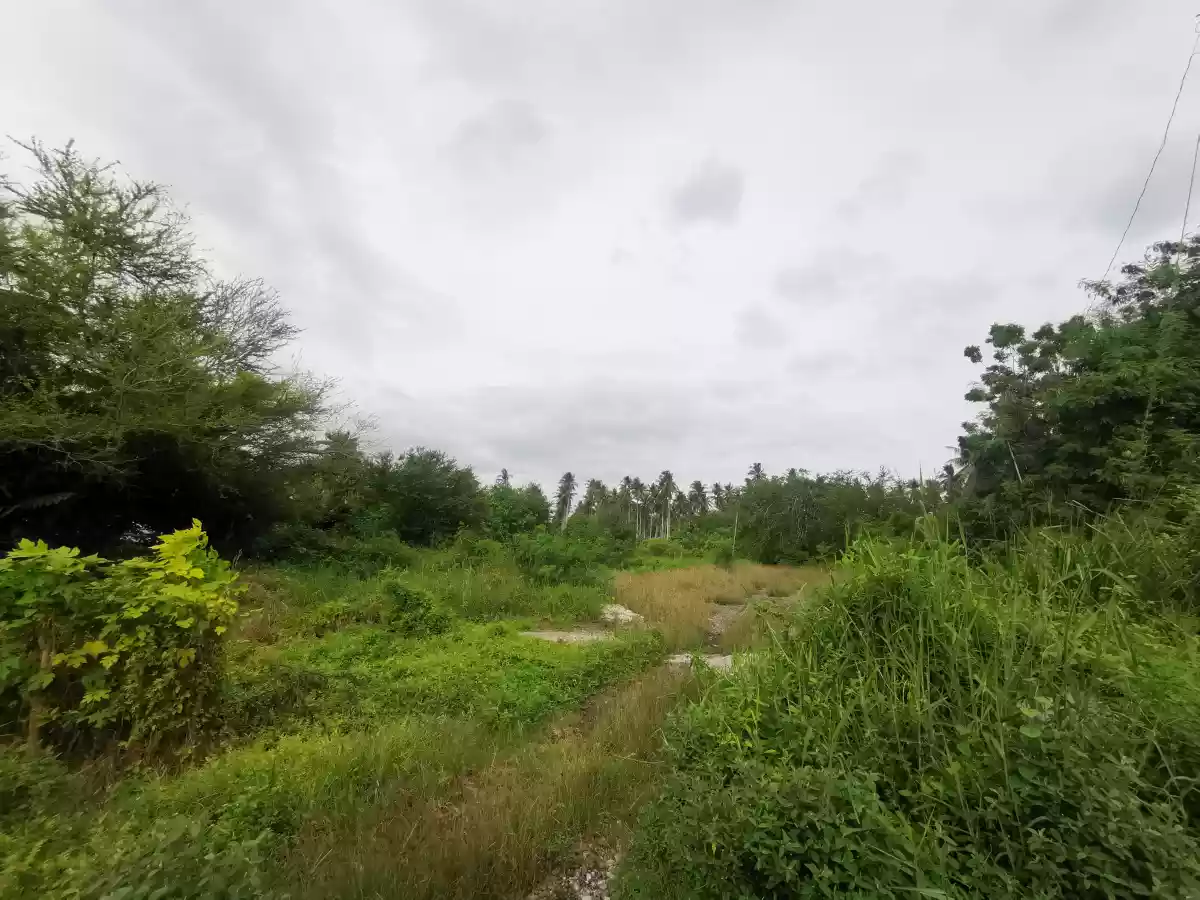 Open photo 16 of 19 — Subdivided Lots at Barangay Ligaya at the back of Agan Ligaya Subdivision and UST Hospital alongside of the proposed CityMall