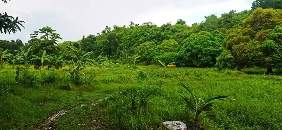 Affordable lot - photo 2
