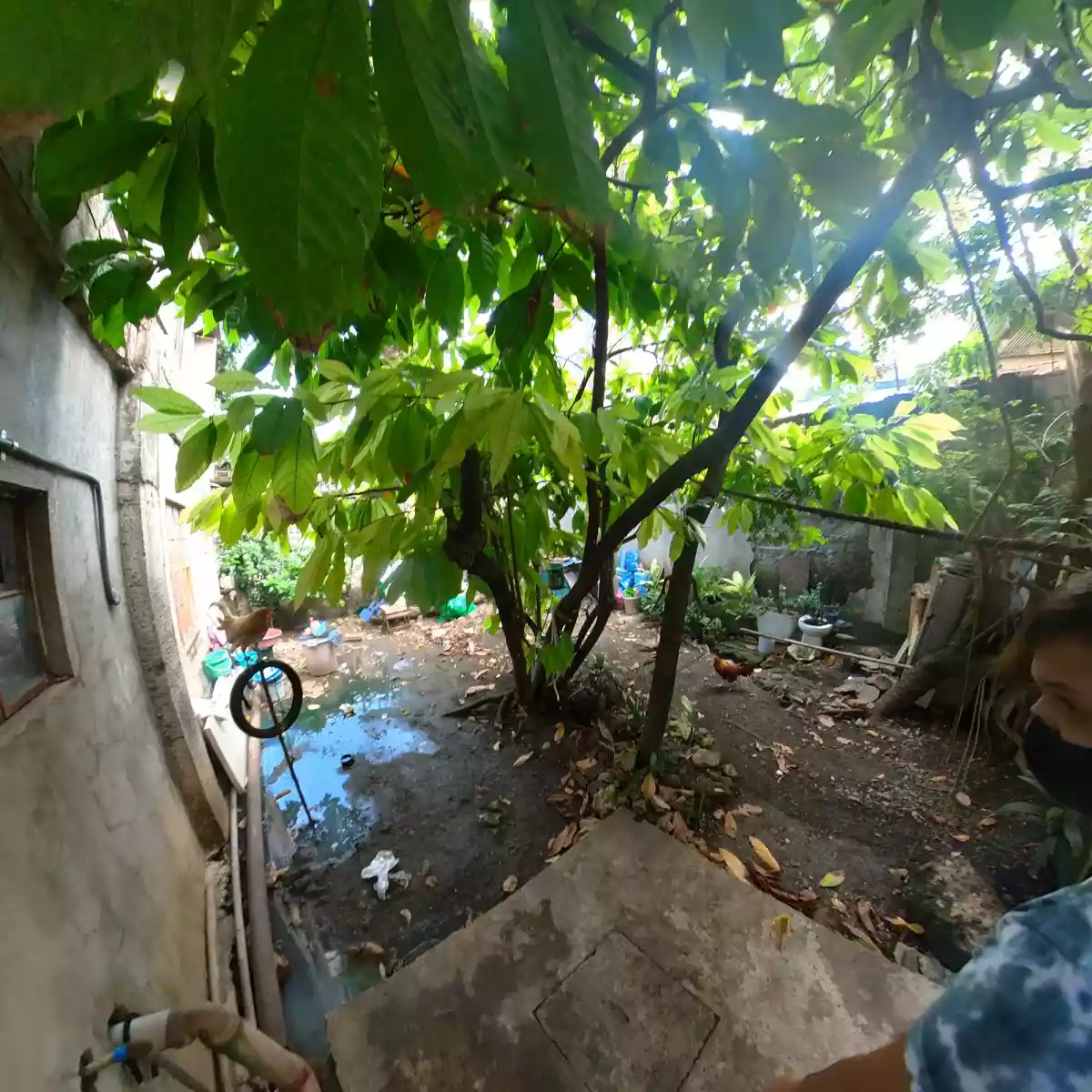 House and lot for sale ni Gaisano Grand Mactan — House and Lot in Lapu-Lapu City, Cebu, Philippines — Photo 7