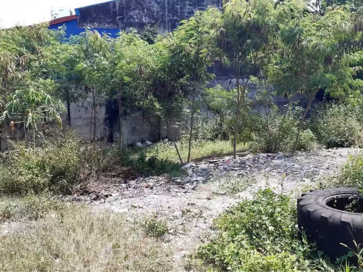 Commercial Lot for Sale in Mandaue — Warehouse in Mandaue City, Cebu, Philippines — Photo 6