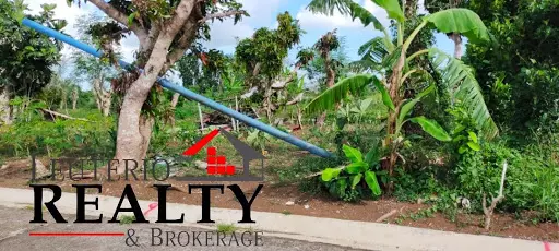 086-2013001041 — Residential Lot in Naga, Camarines Sur, Philippines — Photo 3