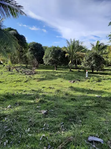 Large Agricultural Lot for Sale in Sibulan (Dumaguete) — Agricultural Lot in Negros Oriental, Philippines — Photo 4