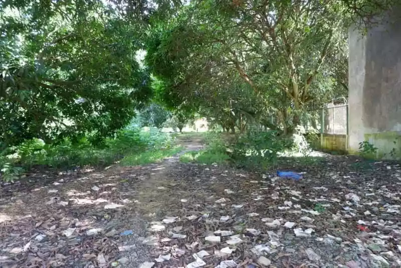 Rush Sale Lot in Arpili Balamban, Cebu Along National Roadâ€¼ï¸ - photo 5