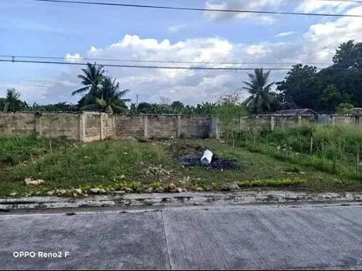 Lot for sale midori plains subdivision — Residential Lot in Minglanilla, Cebu, Philippines — Photo 5