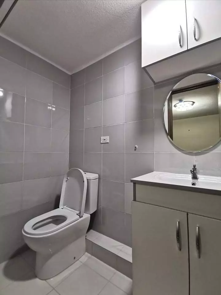 One Oasis 2BR with parking - photo 5