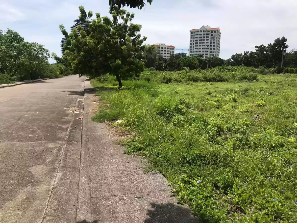 Beach lot for sale - photo 2