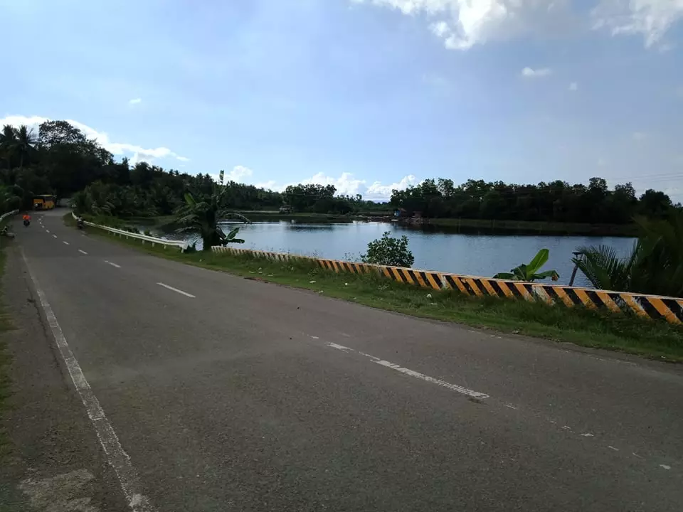 Income Generating Fish Pond — Commercial Lot in Cebu, Philippines — Photo 3