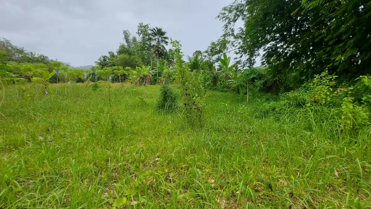 Farmlot for sale