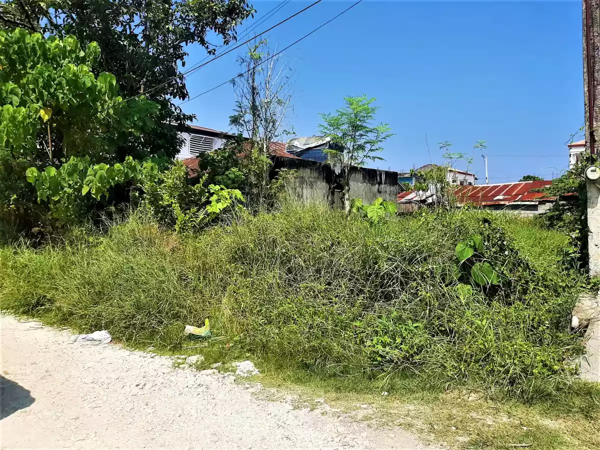 SUBDIVISION LOT FOR SALE IN ILIGAN CITY — Residential Lot in Iligan City, Lanao del Norte, Philippines — Photo 4