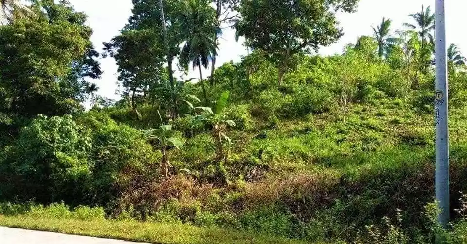 3,342 SQM LOT for SALE IN ILIGAN / ALONG BRGY. ROAD / BESIDE VILLA CASTENA SUBD - photo 5