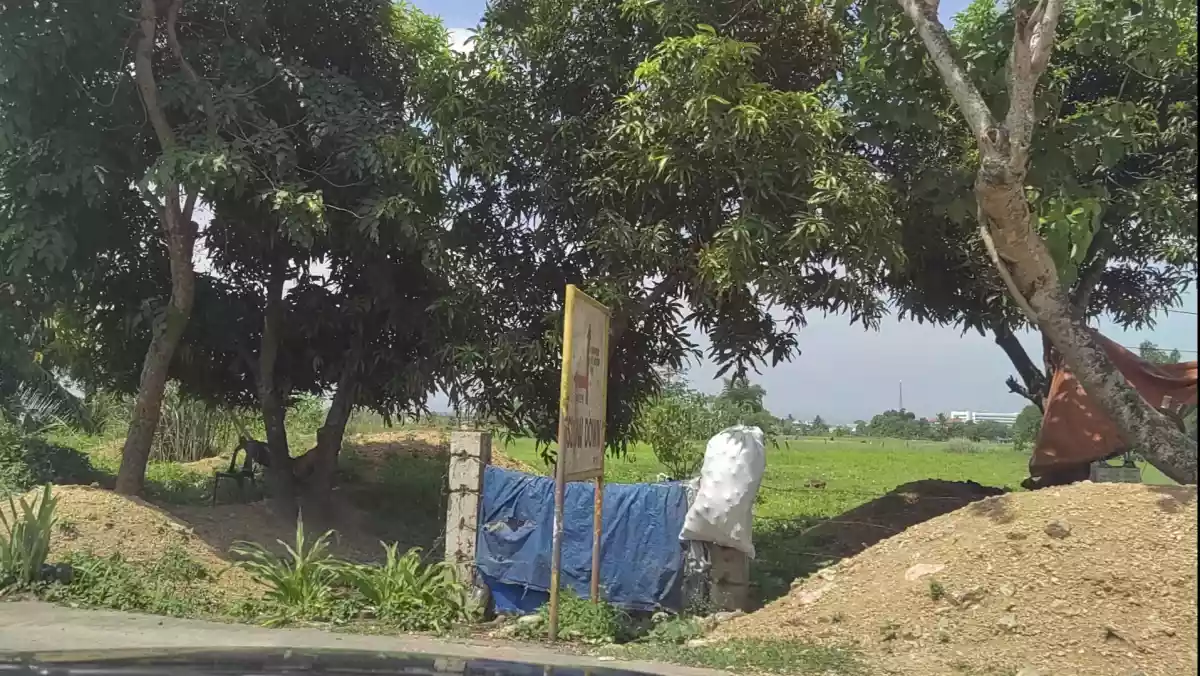 LOT For Sale in Naga City - photo 5