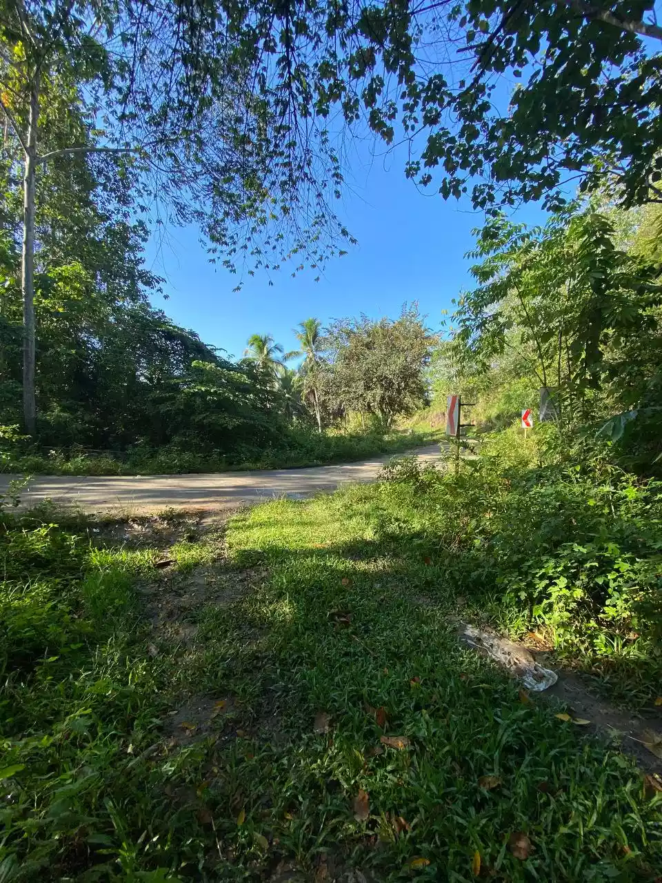 Over Looking LOT FOR SALE along Brgy Road Bayanga, Cagayan de Oro City — Agricultural Lot in Cagayan de Oro, Misamis Oriental, Philippines — Photo 5