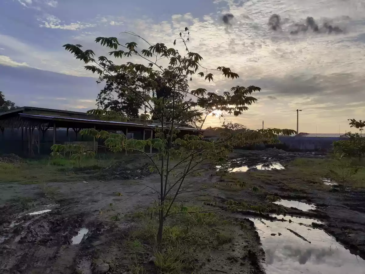 Open photo 12 of 21 — Commercial lot for sale 6000 sqm