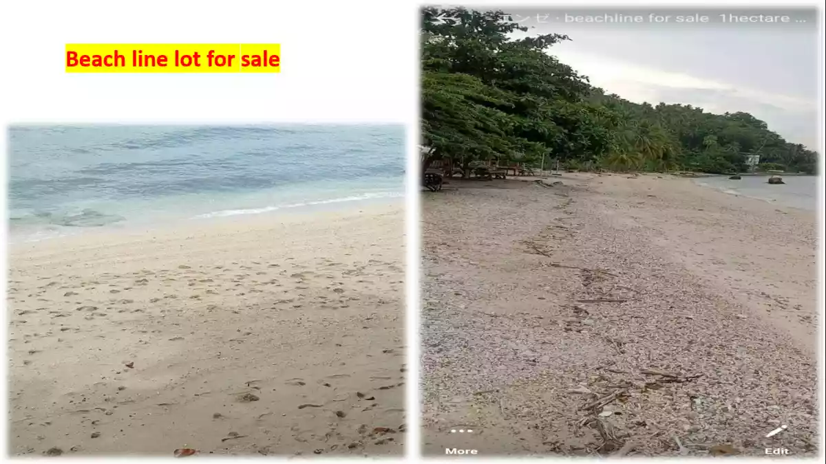 Beach Line Lot for Sale
