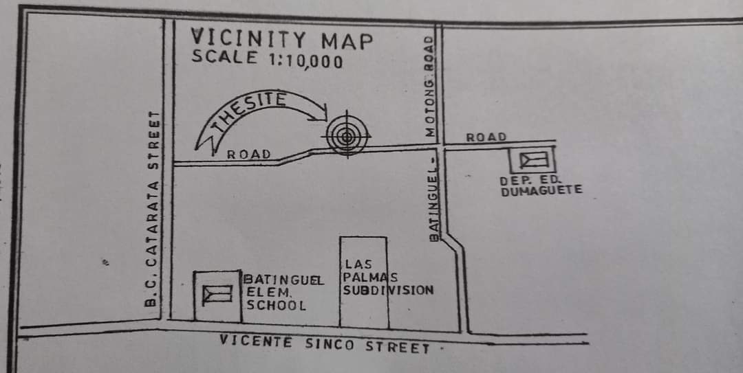 Clean Title Lot for Sale in Batinguel Dumaguete City - photo 3