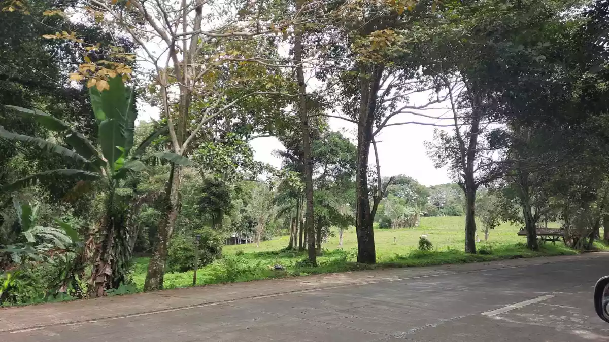 Lot for Sale in Claveria — Agricultural Lot in Misamis Oriental, Philippines — Photo 4