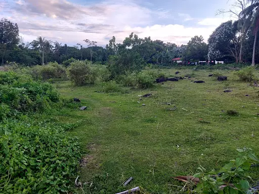 Residential Lots for Sale in Bacong/Dumaguete — Residential Lot in National Road, Zamboanguita, 6218 Negros Oriental — Photo 6