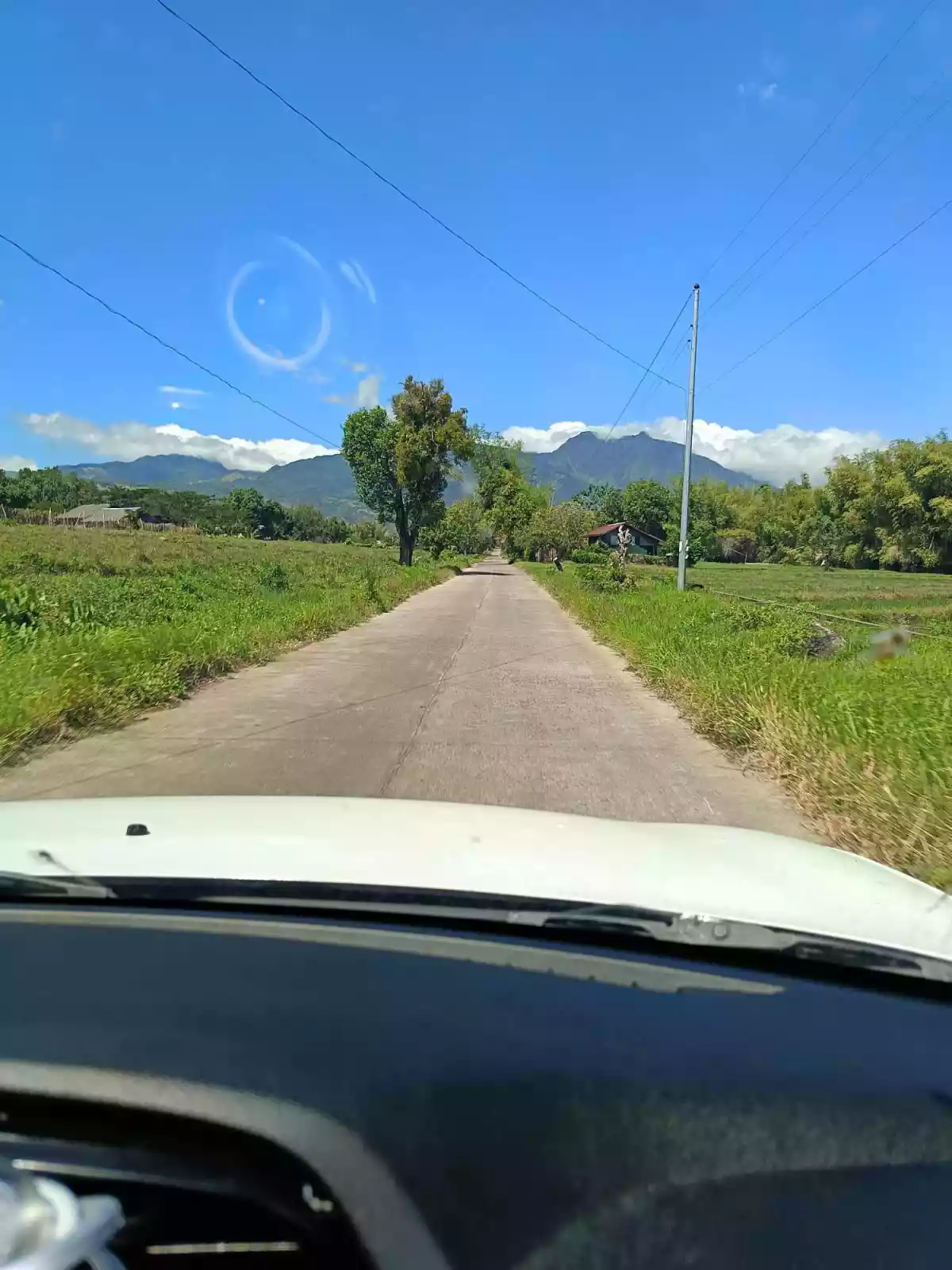 LOT FOR SALE IN ZAMBOANGUITA NEGROS ORIENTAL — Agricultural Lot in Negros Oriental, Philippines — Photo 5