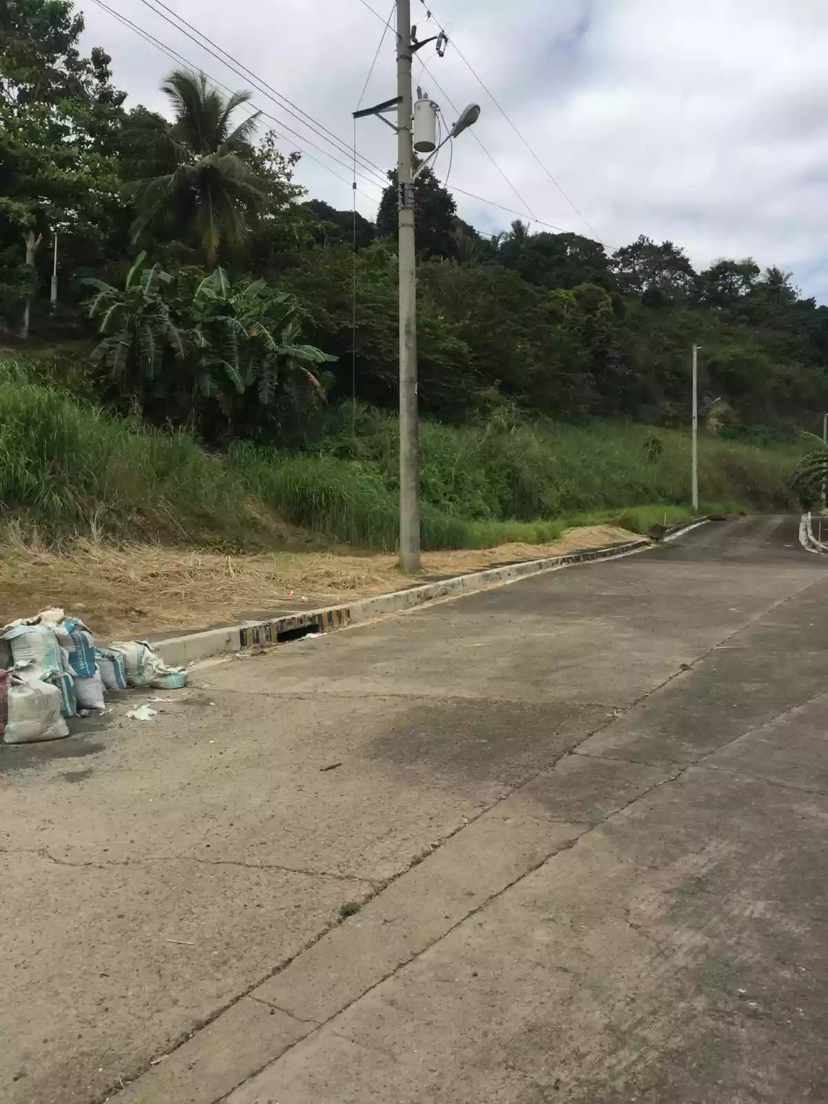 Titled lot inside Pacific Heights subdivision Barangay Bulacao - photo 2