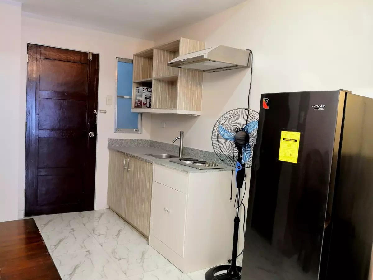 NEW STUDIO UNIT FULLY FURNISHED - photo 4
